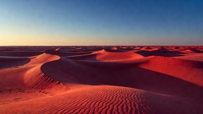 Crimson Desert Dev Conducting 'Extensive Research' on Multiplayer Modes, Plots Potential Sequels