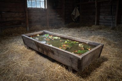 Watching Roku’s AI channel is like eating from a trough